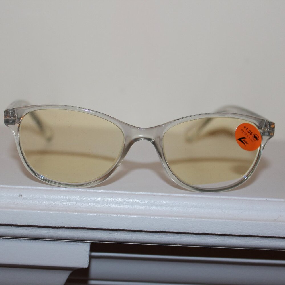 Leader Reading and Blue Blocker Glasses (+1.00)